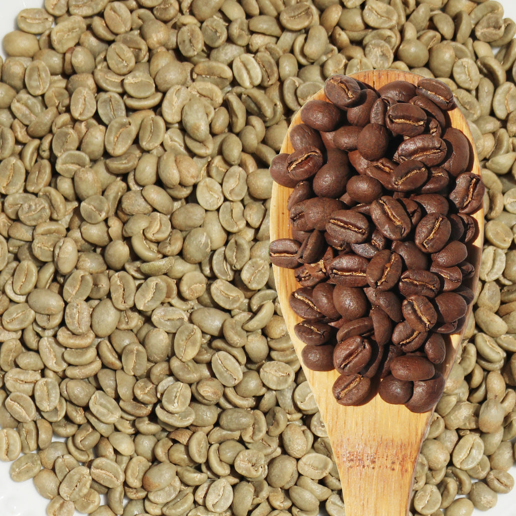 ROASTERS COFFEE Origin 100% MERAVALLEY Columbia Single Meravalley Coffee – Arabica Beans HA