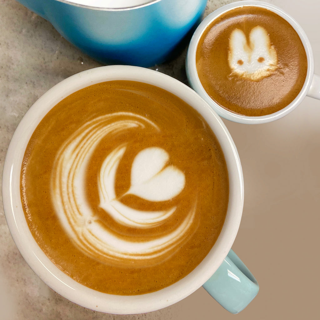 Arabica Beans Columbia HA MERAVALLEY Origin Meravalley COFFEE Coffee – Single ROASTERS 100%
